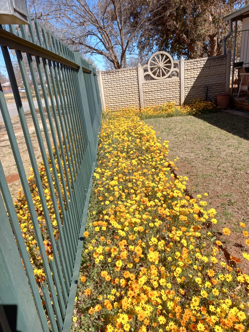 4 Bedroom Property for Sale in Hennenman Free State